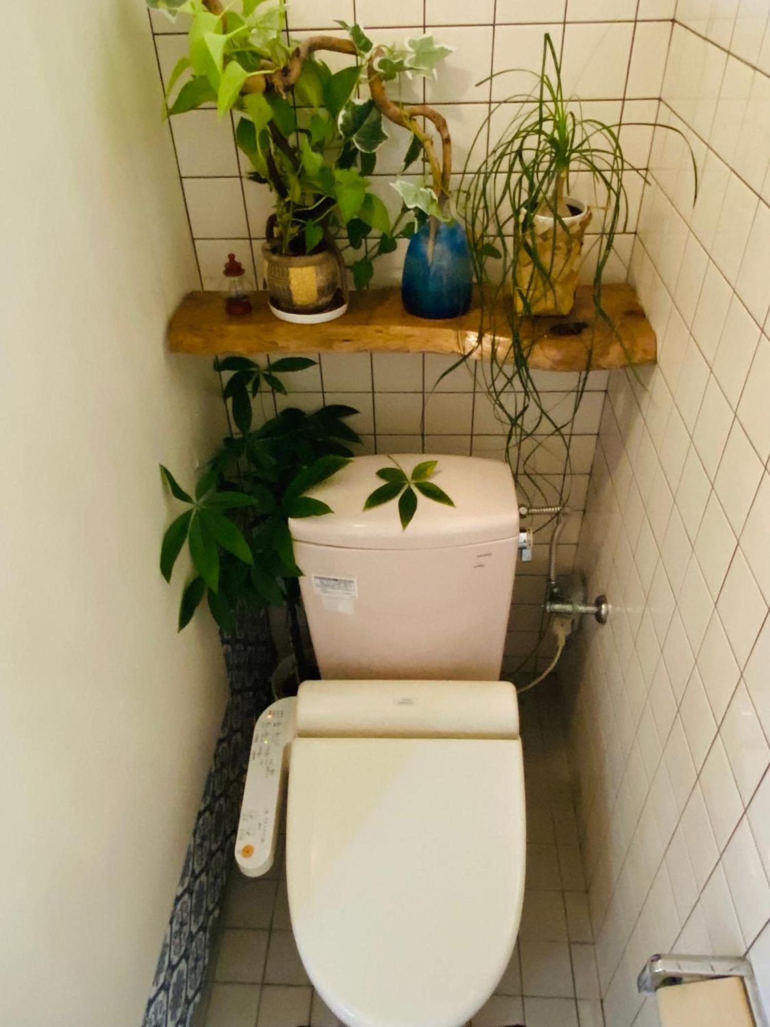 Apartamento Irodoru Ishigaki  Exterior foto